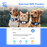 4G Dog Cat GPS Tracker for Pets - Waterproof Smart Locator with App