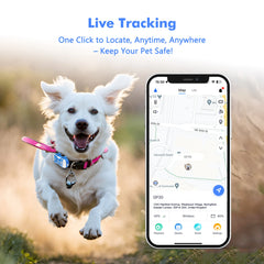 4G Dog Cat GPS Tracker for Pets - Waterproof Smart Locator with App