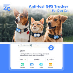 ‌4G Dog Cat GPS Tracker for Pets - Waterproof Smart Locator with App